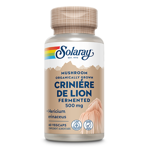 Crinière de Lion