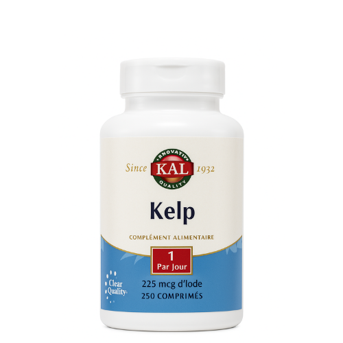 Kelp 