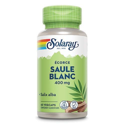 Saule Blanc