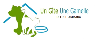 Un gîte une gamelle